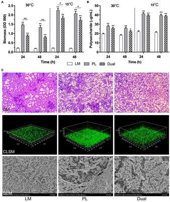 Synergism With ε-Polylysine Hydrochloride and Cinnamon Essential Oil Against Dual-Species Biofilms of Listeria monocytogenes and Pseudomonas lundensis